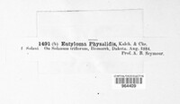 Image Associated With the Occurence